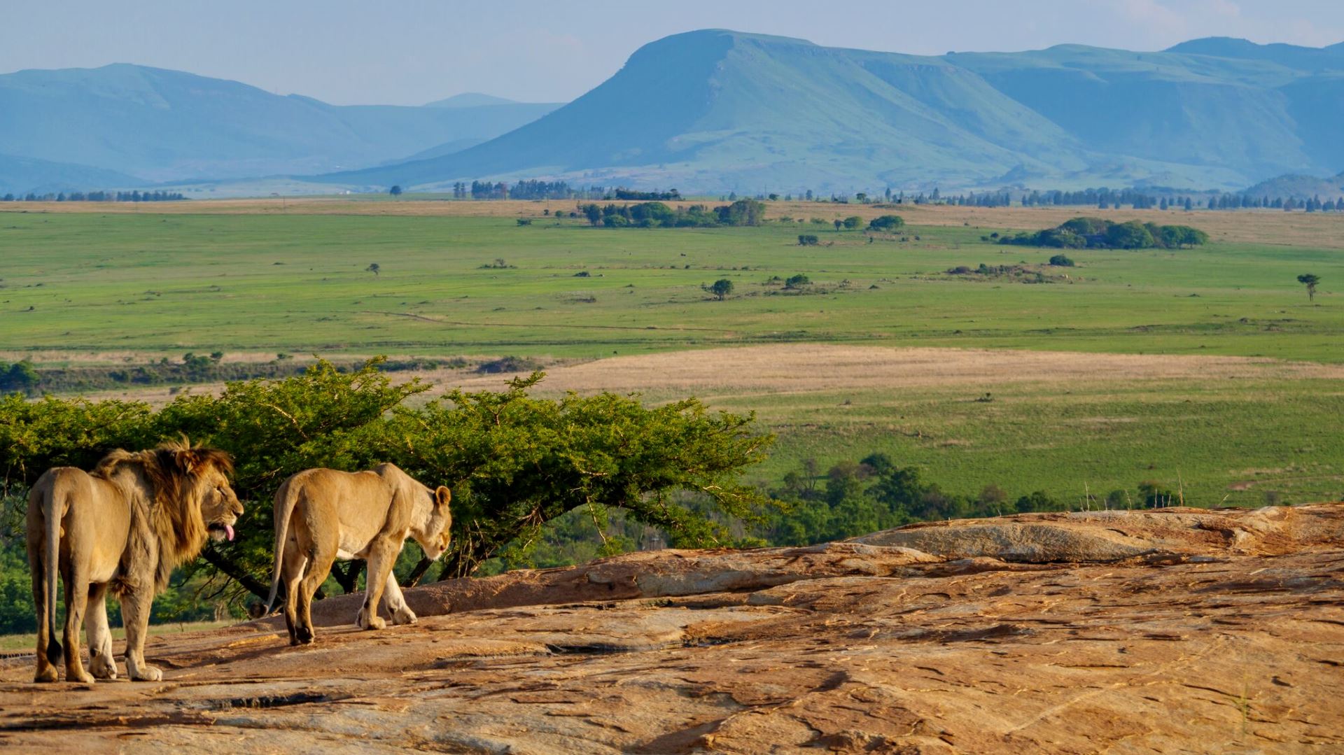 Nkomazi Tented Camp — image 16