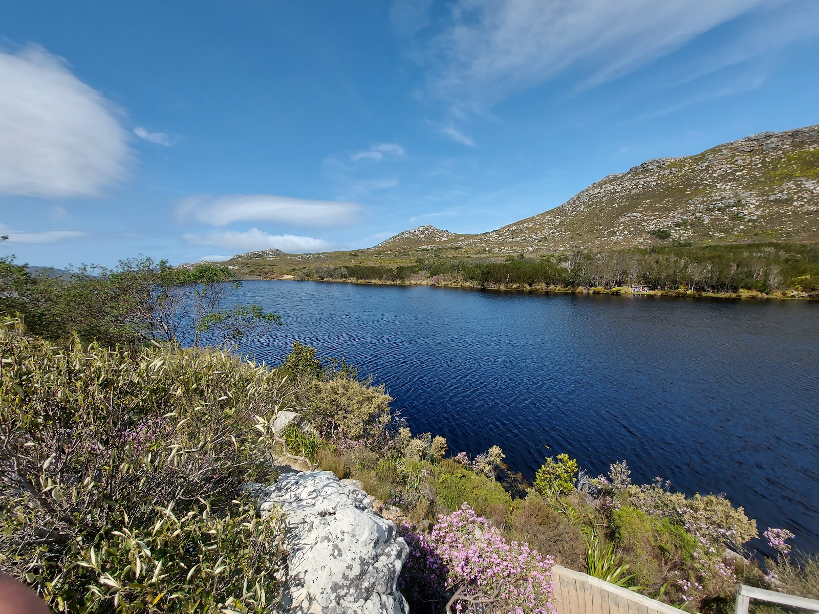 Silvermine Nature Reserve