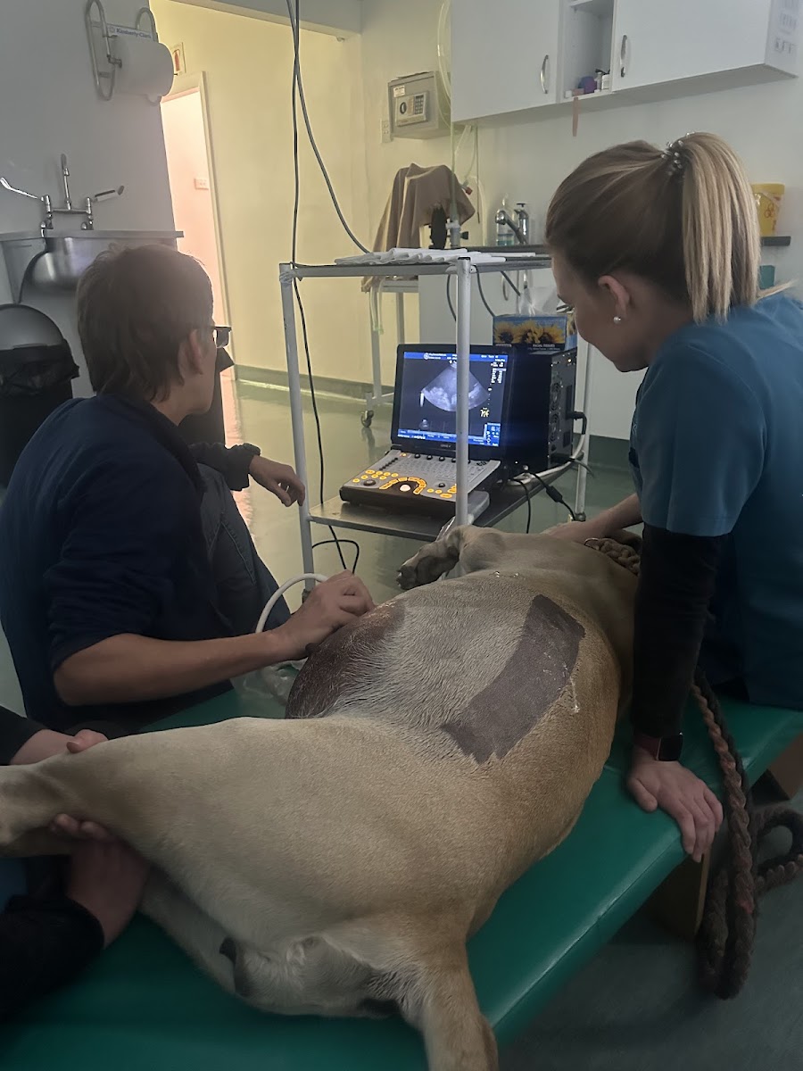 King Edward Veterinary Referral Hospital