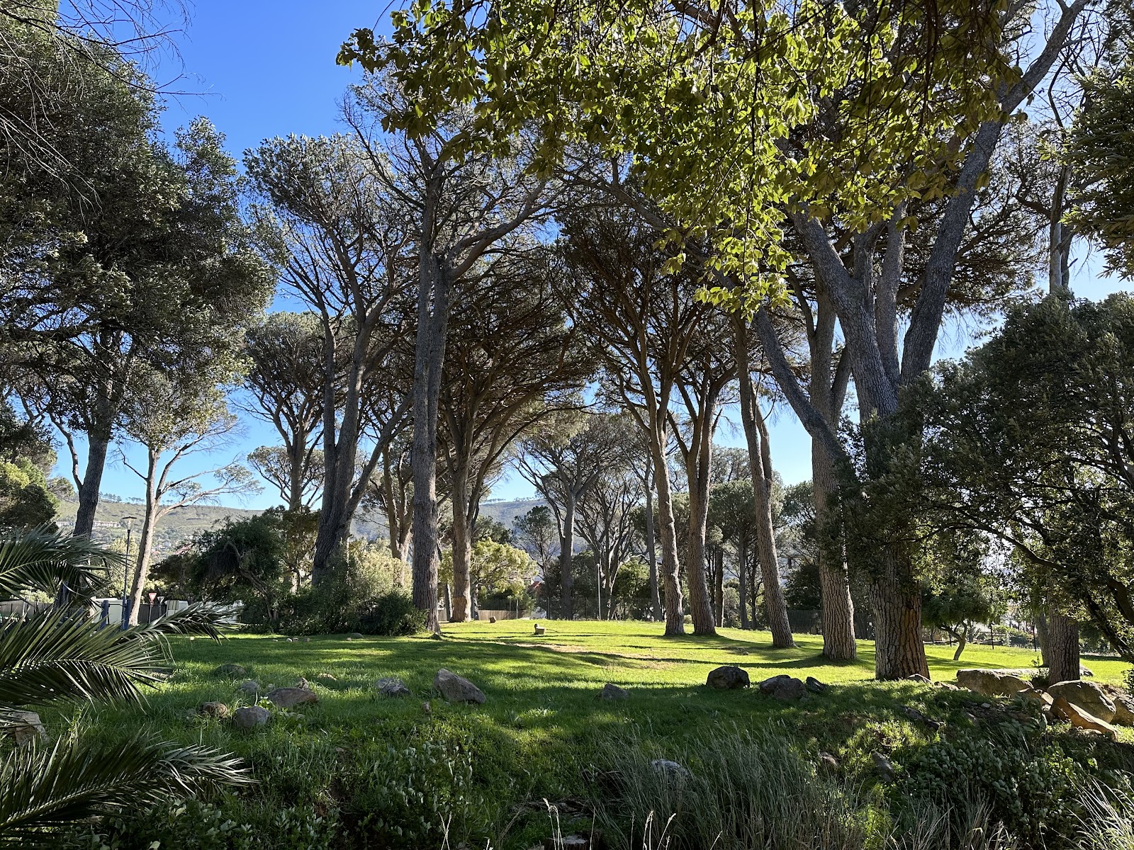 Van Riebeeck Park