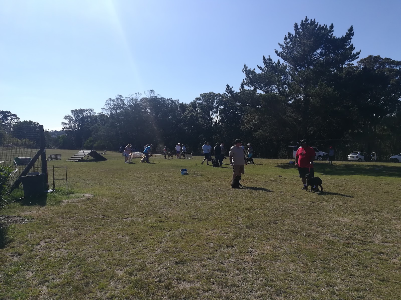 The Dog School