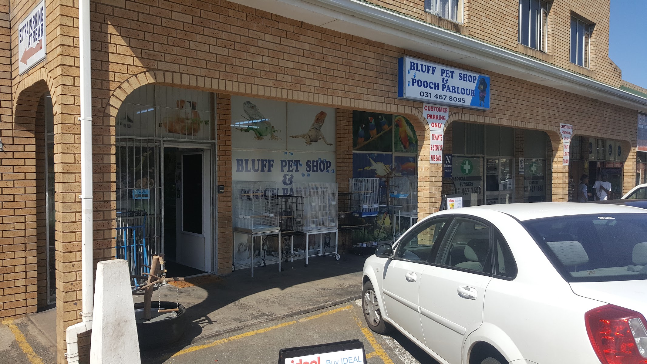 Bluff Pet Shop & Pooch Parlour