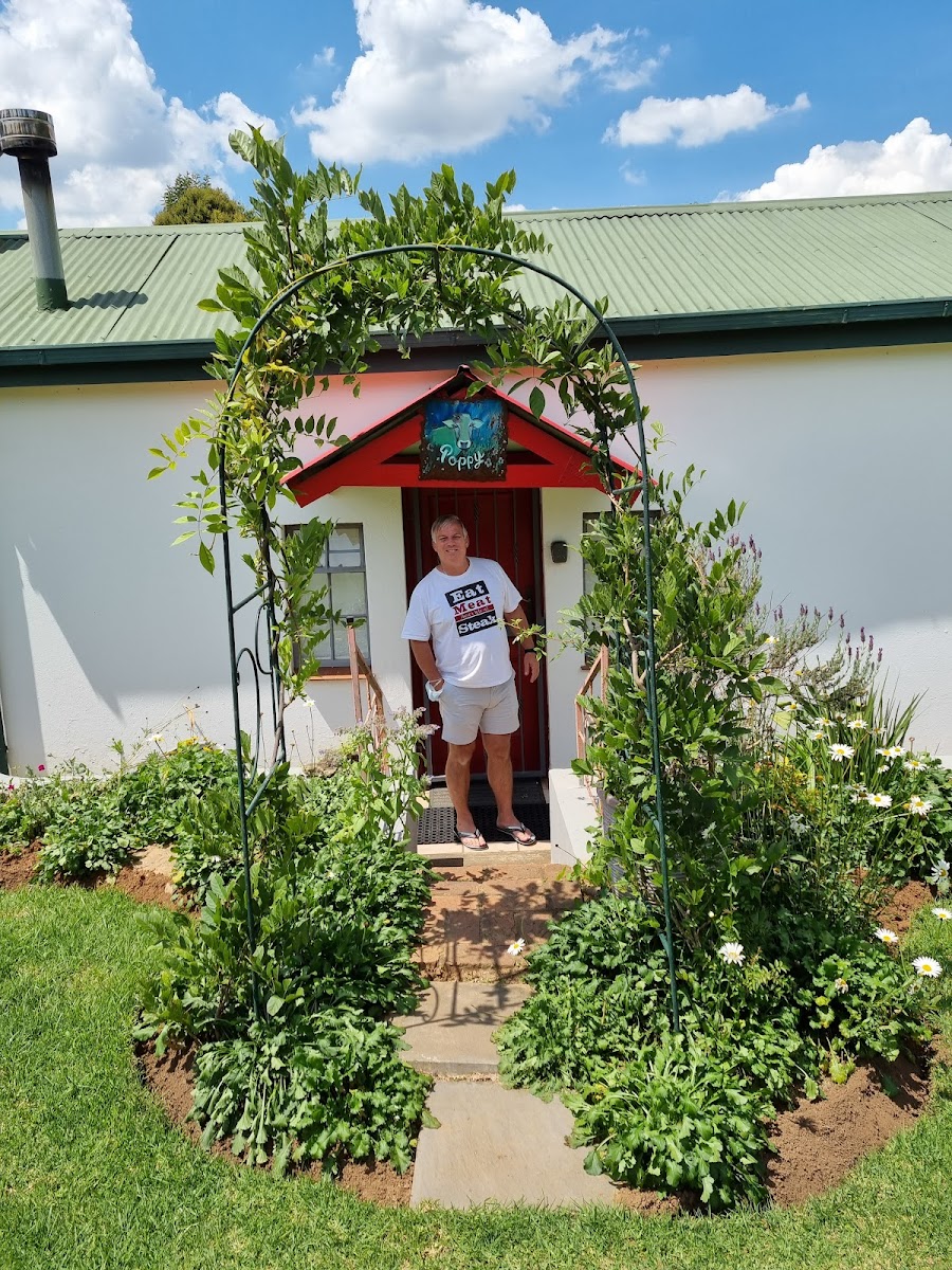 Peace Corner