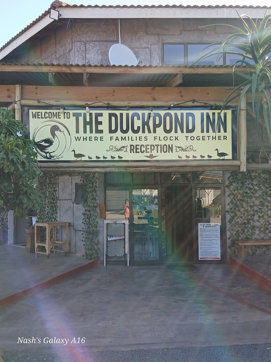 The Duck Pond