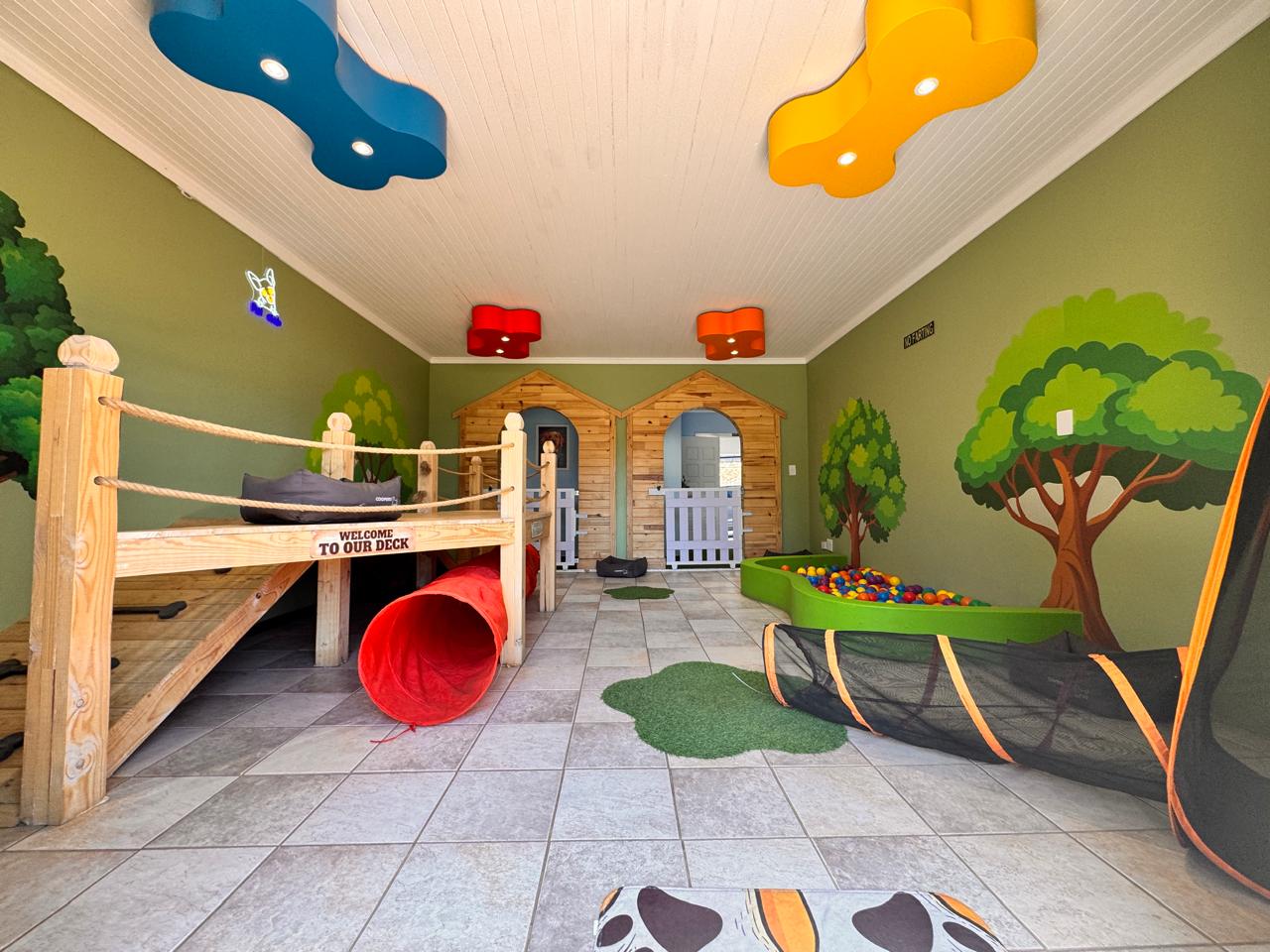 Coopers Pets - Luxury Doggy Daycare, Doggy Hotel, Cat Hotel And Pet Store