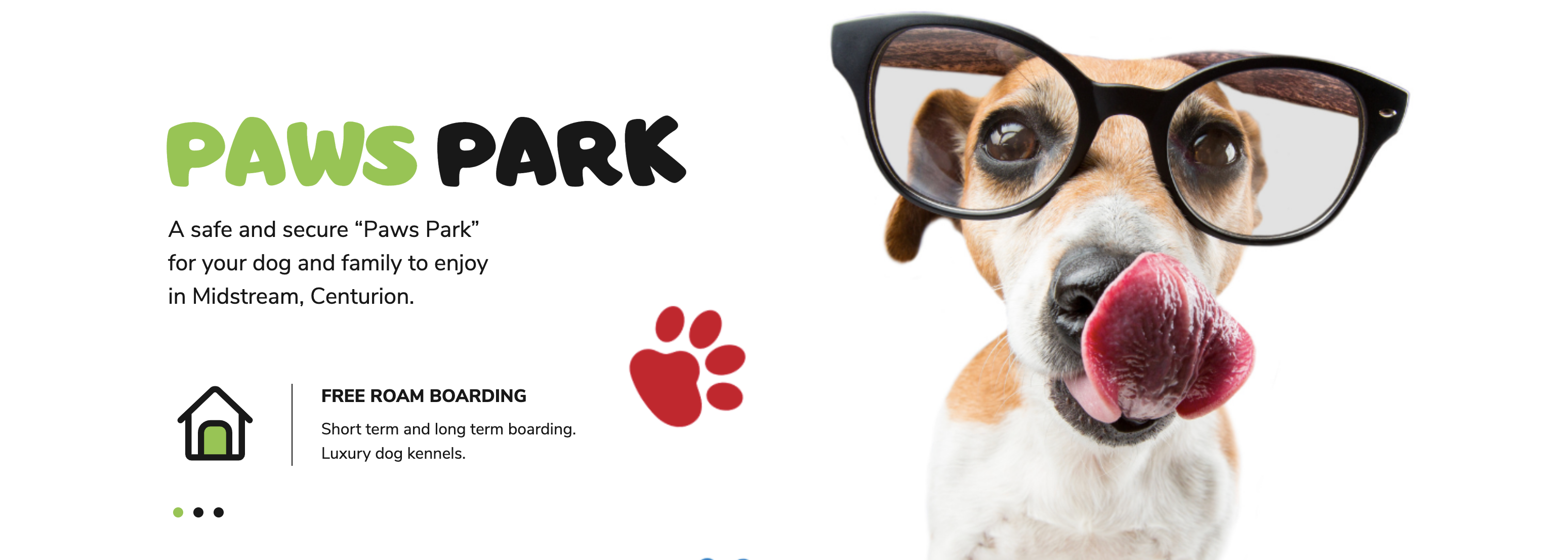 Paws Park Midstream