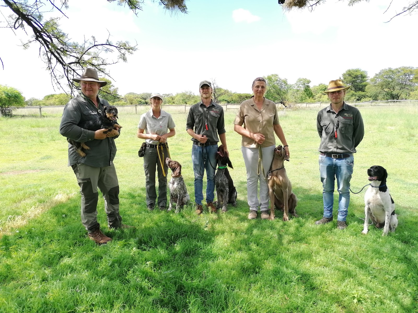 Boavida Dog training