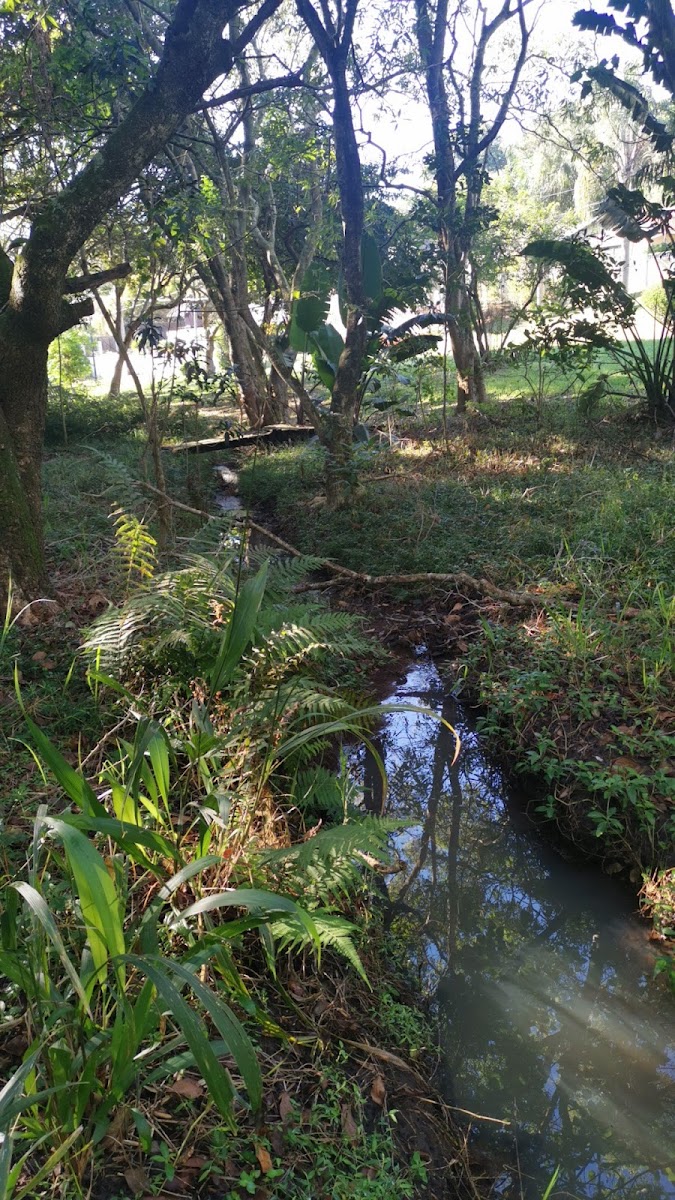 Jubilee park