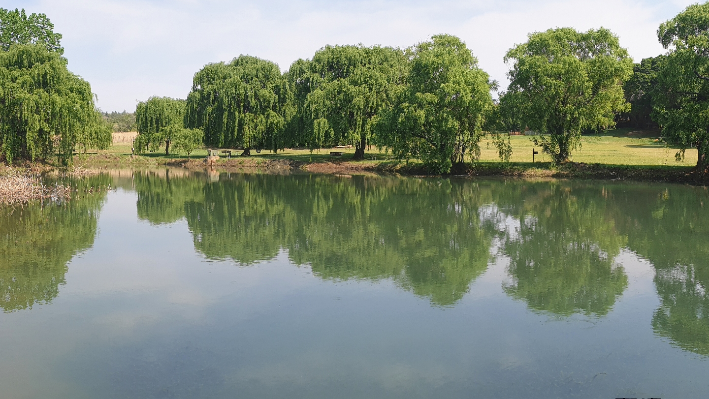 Druiweplaas piekniek area