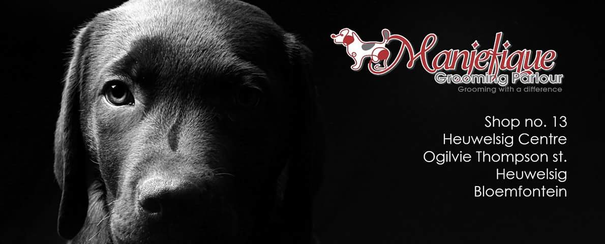 Manjefique Grooming Parlour