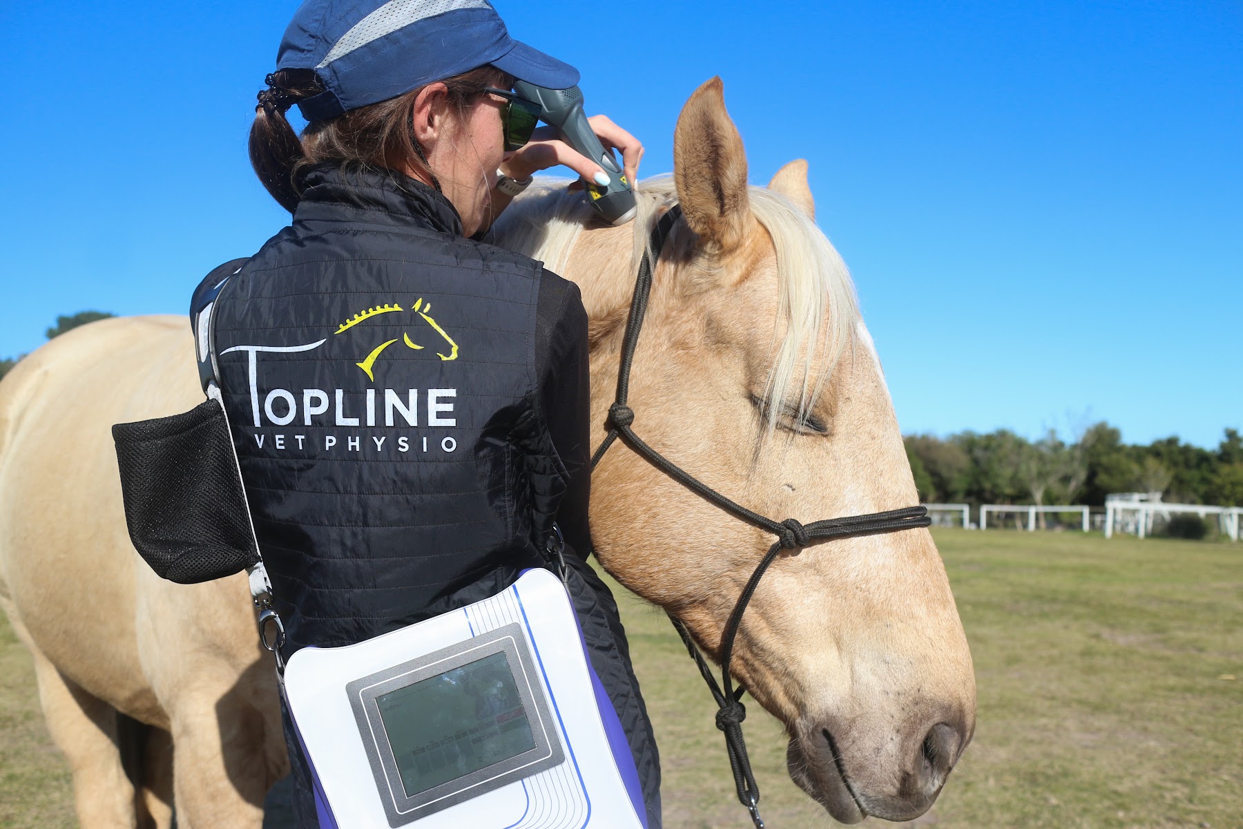 Topline Vet Physio