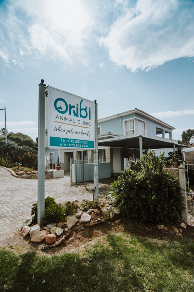 Oribi Animal Clinic
