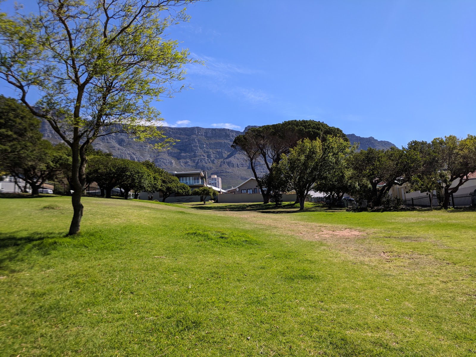 Freesia Ave Park