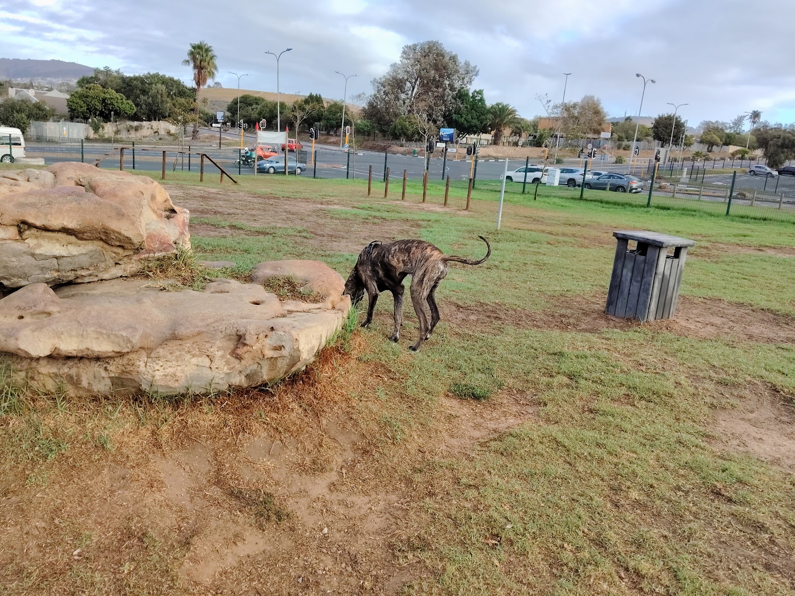 Kenridge Dog Park