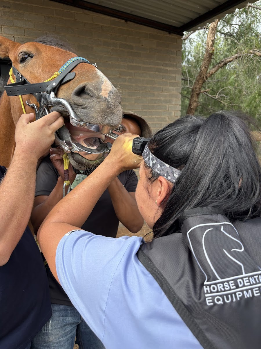 Farm Vet