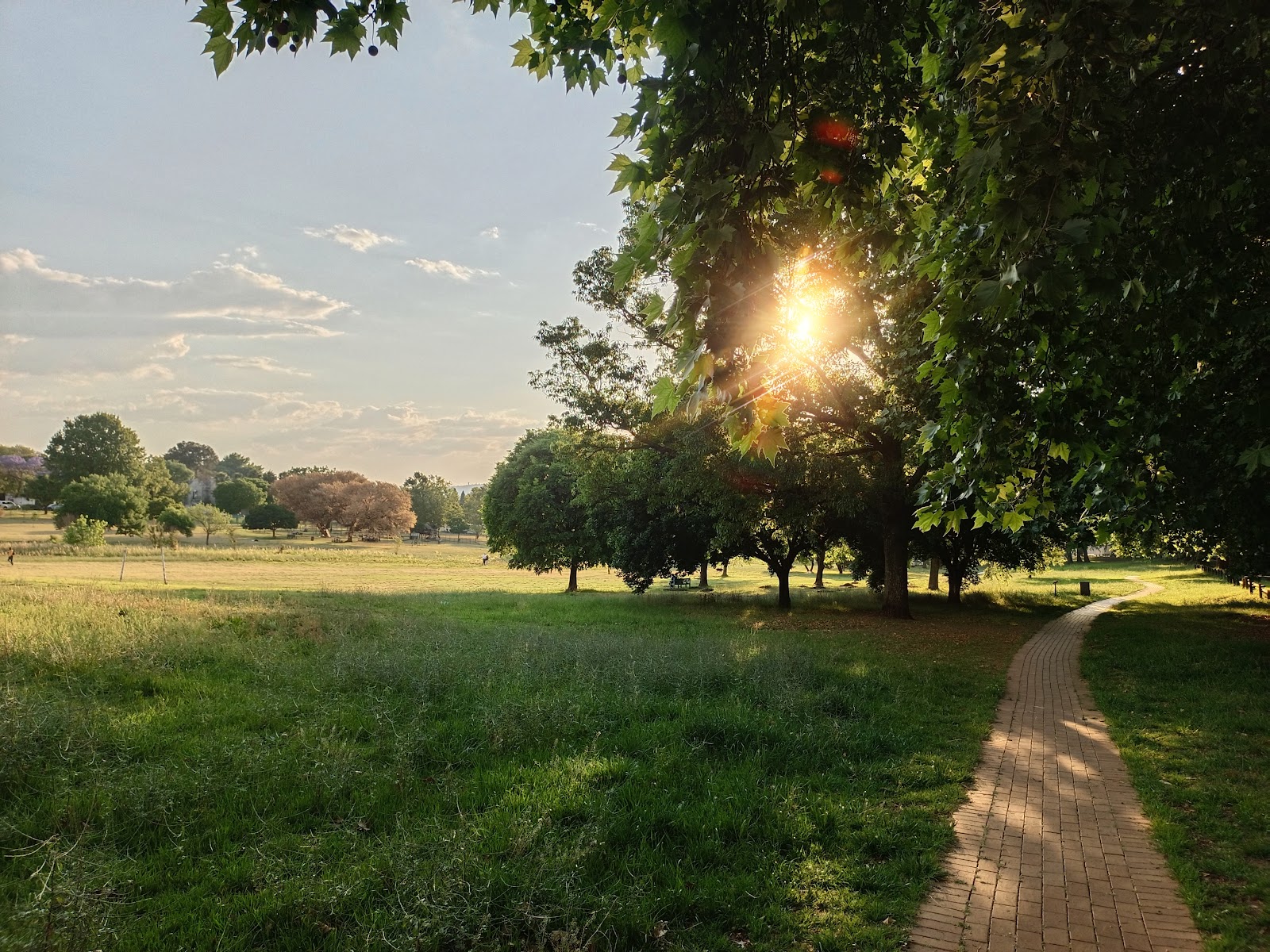 Hugh Wyndham Park