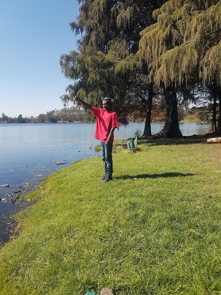 Pioneers Park