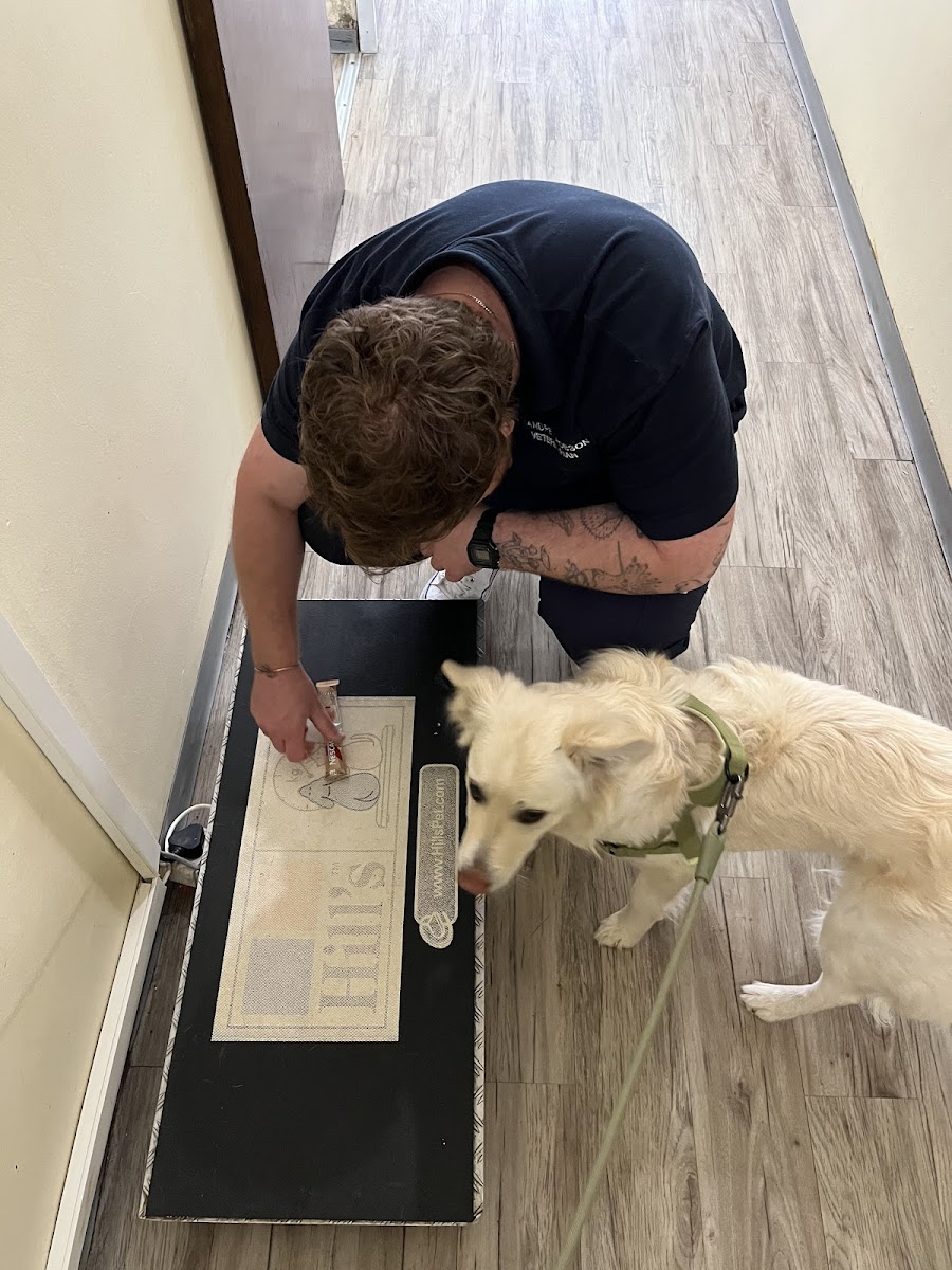 Sandringham Veterinary Hospital