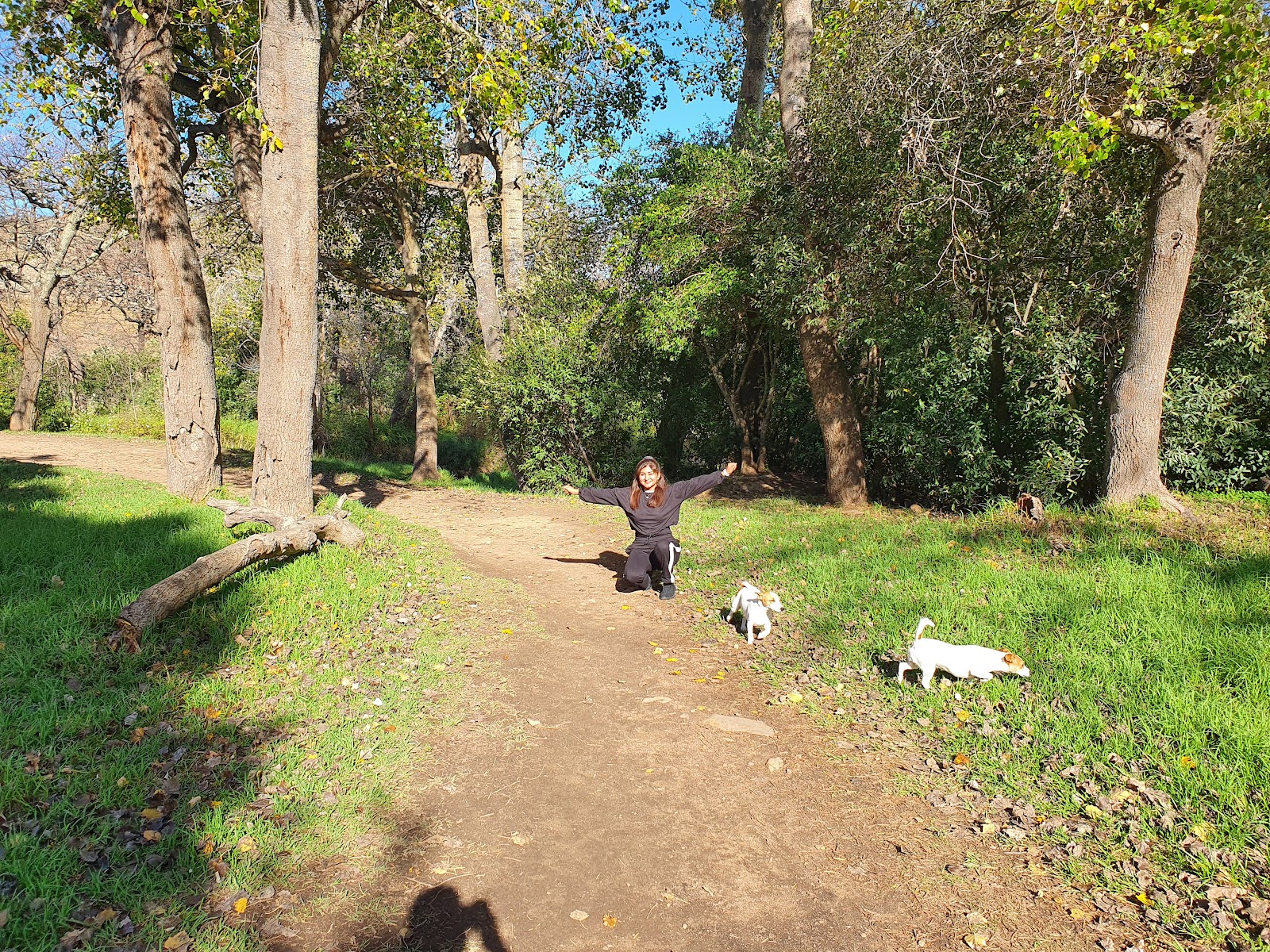 Radloff Park Dog Park
