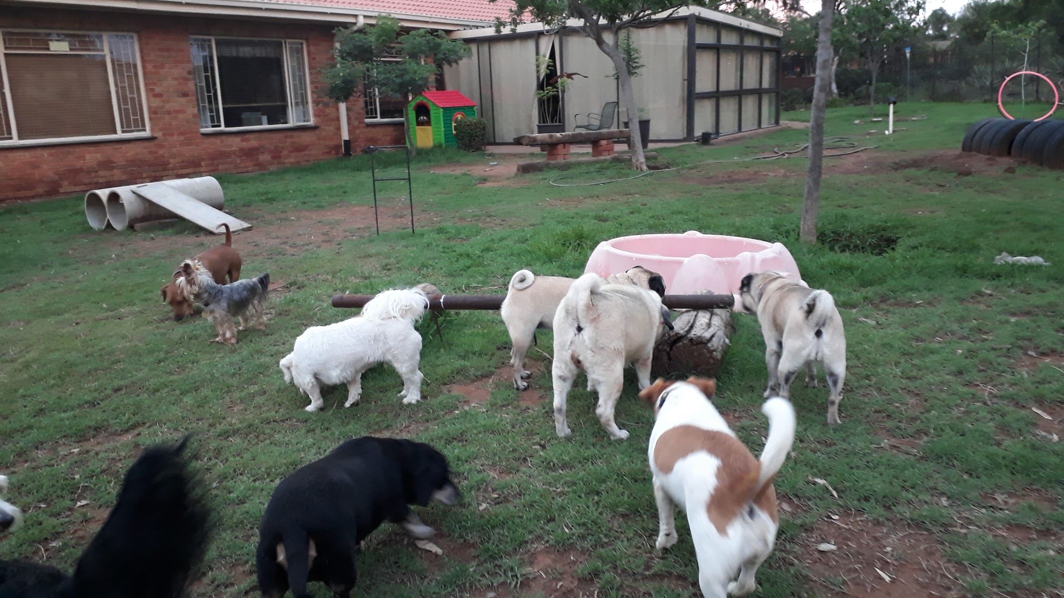 Canine Kanaän - Dog Hotel & Daycare