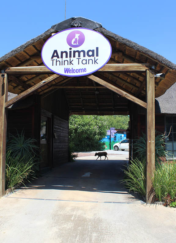 Animal Think Tank - Sangster Branch (Fluffs-N-Tufts)