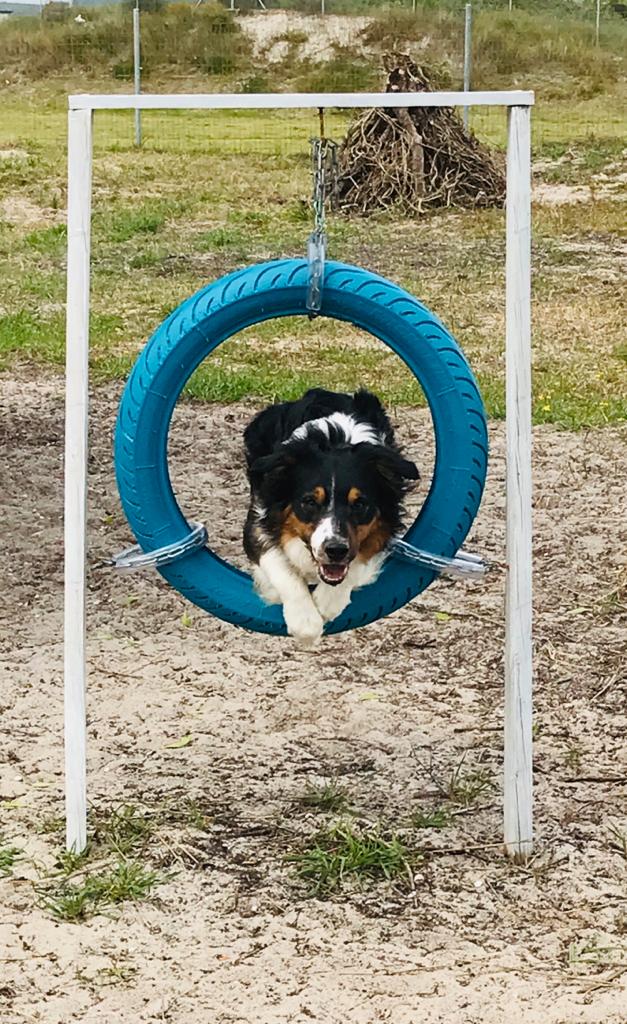 Shep's Sniff Spot