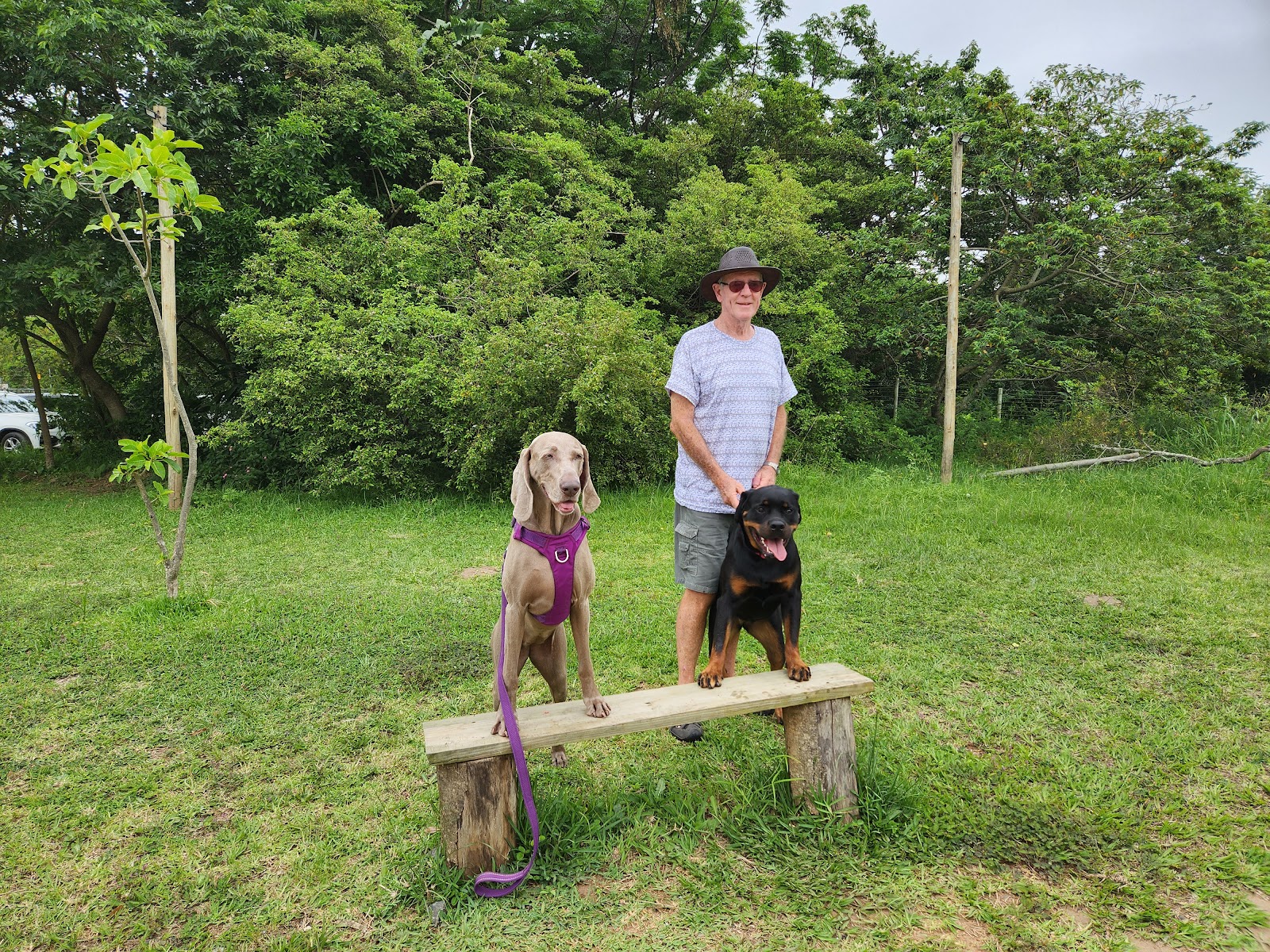 1-2-1 Personal Puppy & DogTraining
