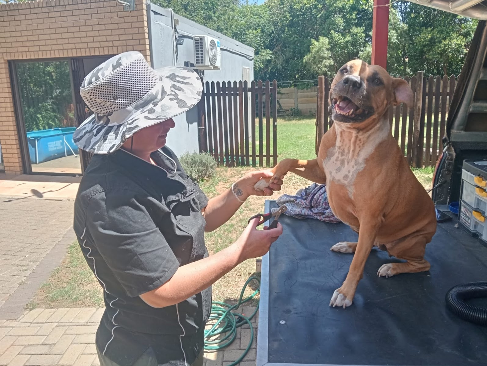 Dyno Mutt mobile Grooming