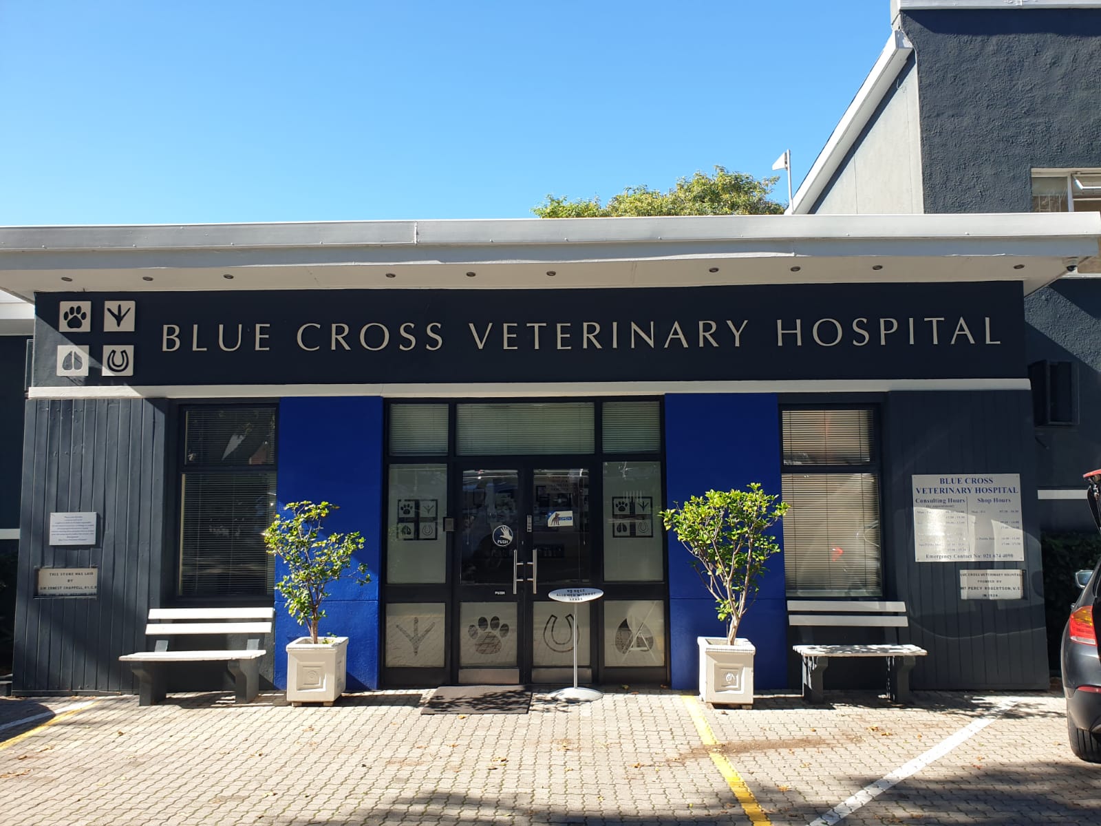 Blue Cross Veterinary Hospital