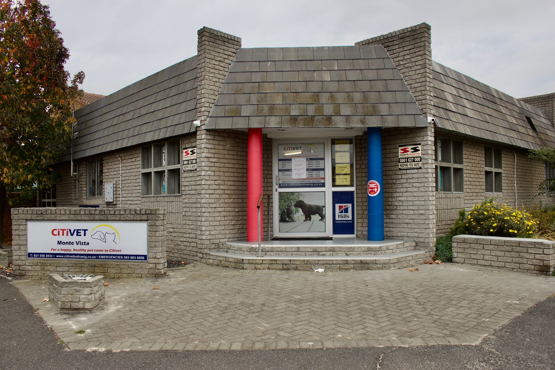 Citivet Monte Vista