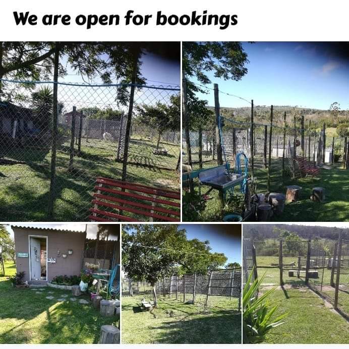 High Noon Dog School and Kennels