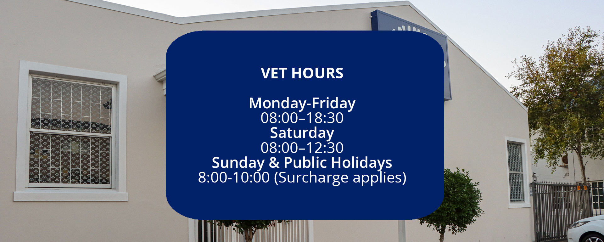 Peninsula Veterinary Hospital