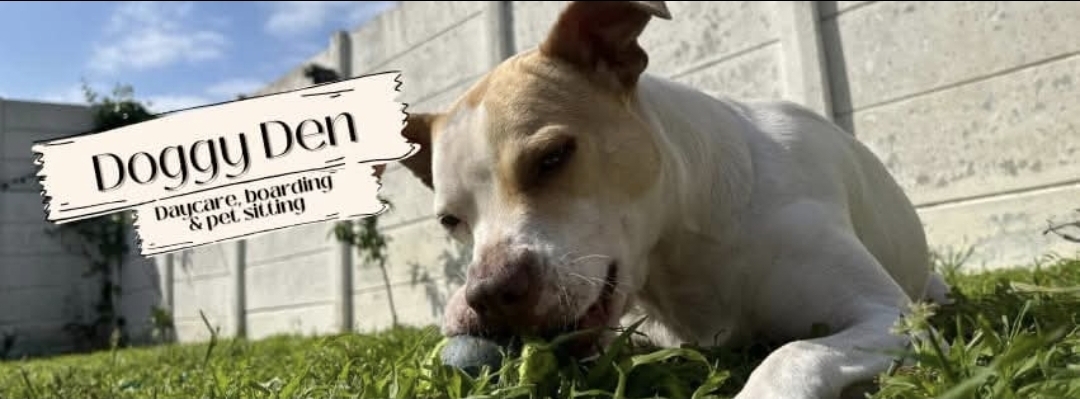 Doggy Den Daycare