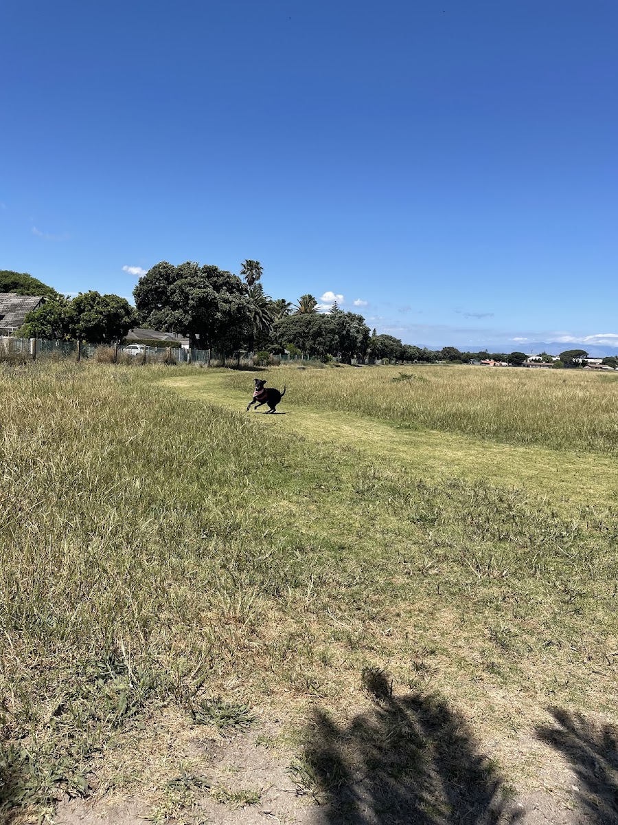 Radley's Dog Park