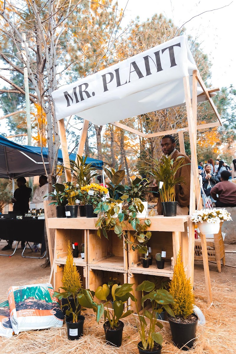 BFN FARMERS MARKET