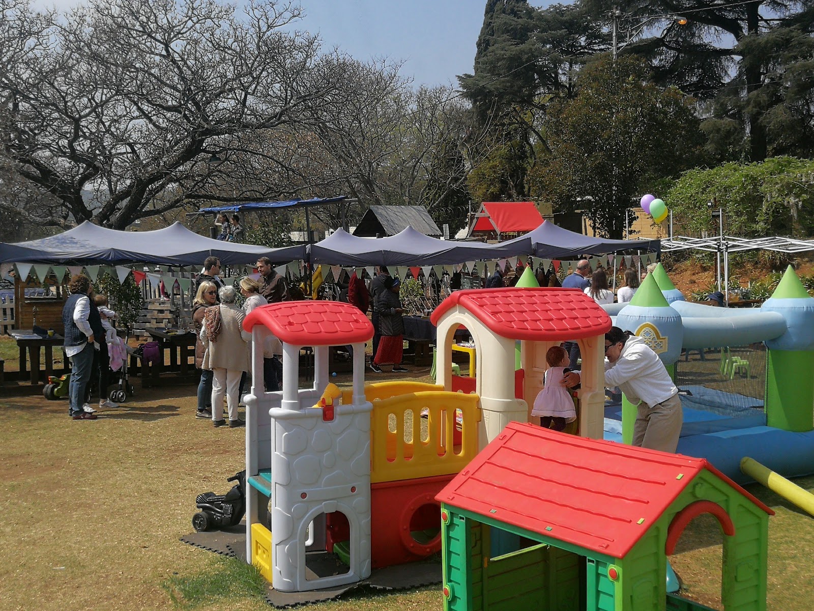 33 Olive Tree - in the Parks
