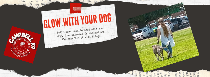 Campbell K9 dog trainer