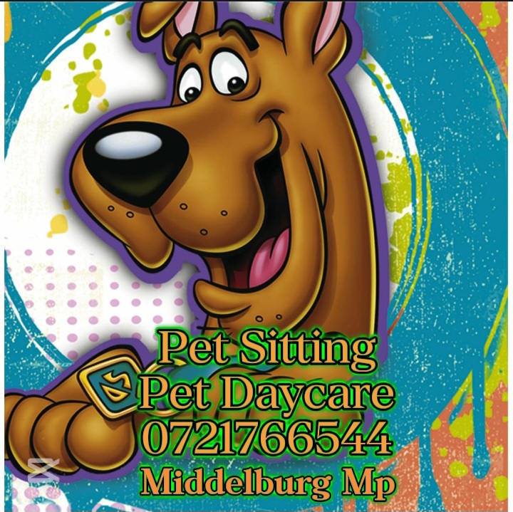pet sitter Scooby Doo Hotel
