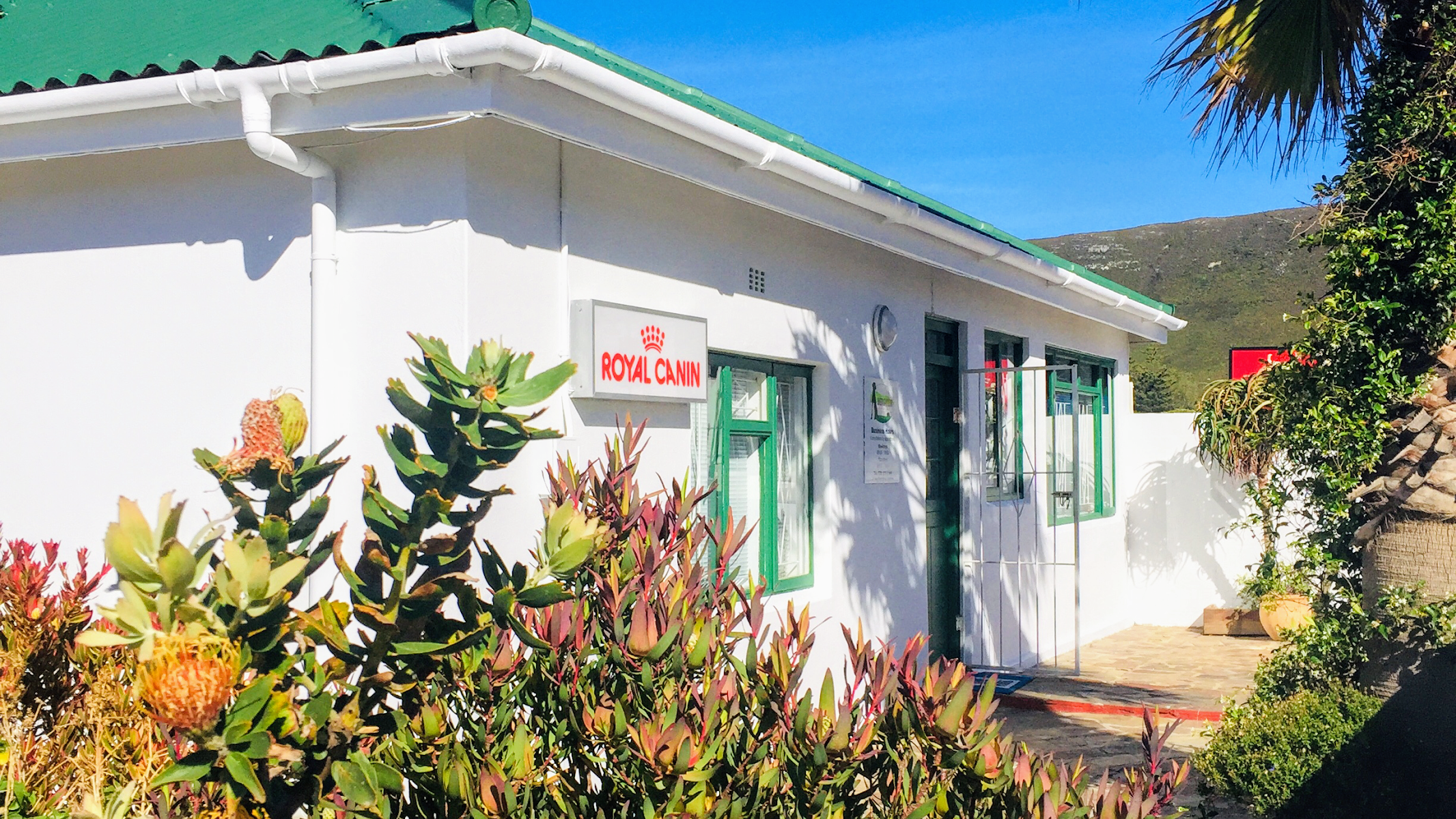 Bergview Veterinary Hospital