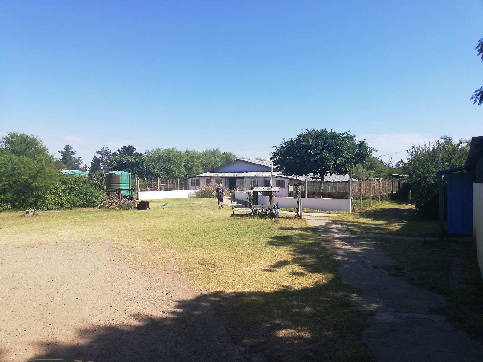 Blue Mountain Kennels