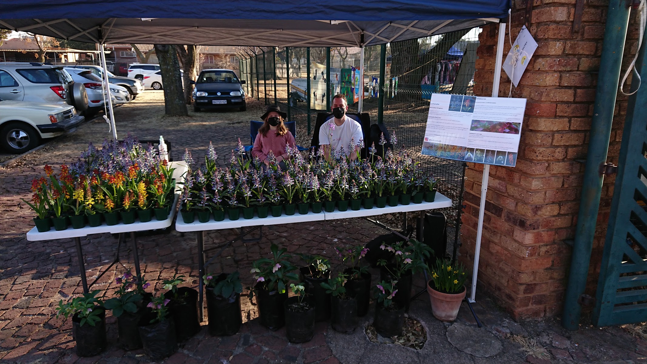 Crafts in the Park