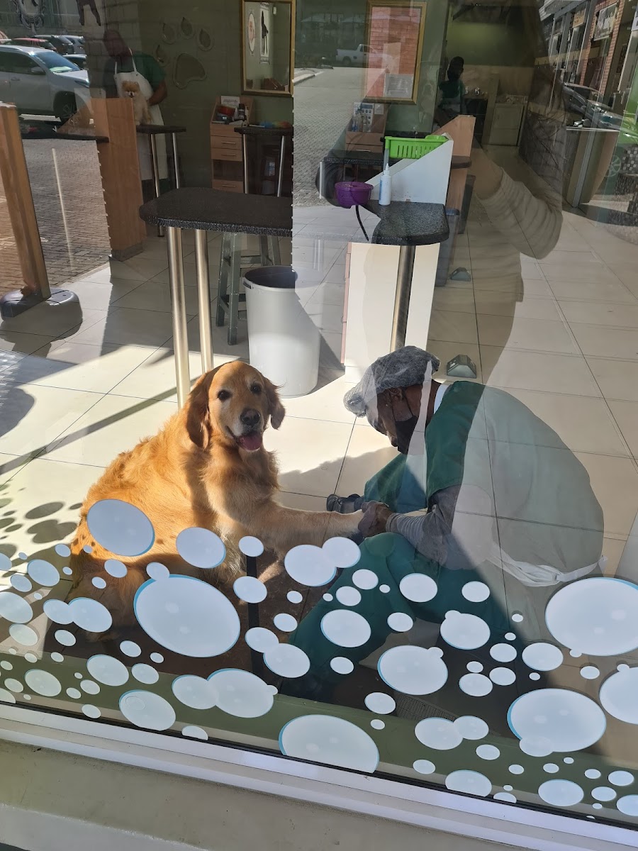 Twisted Whiskers Pet Deli & Spa Hobart Grove