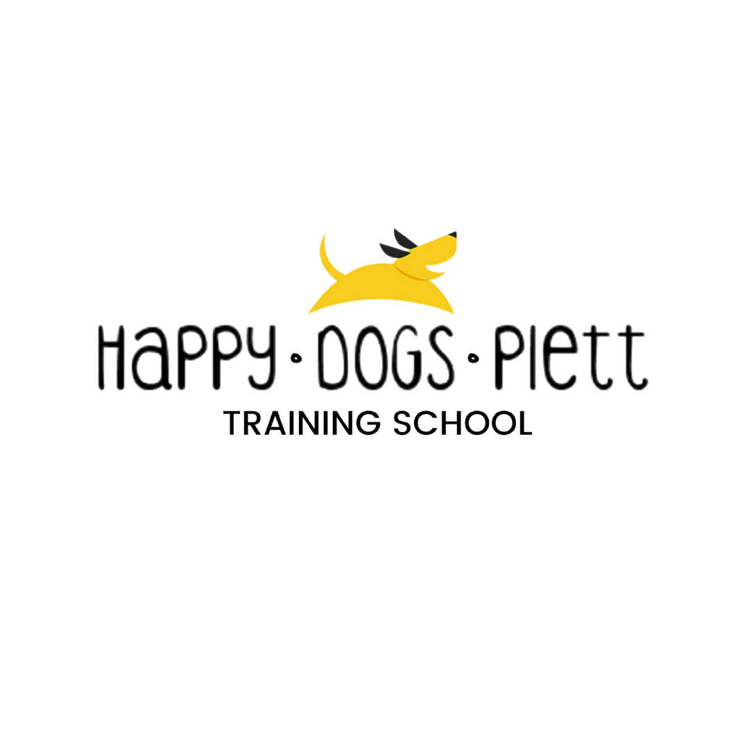 Plett Dog Club