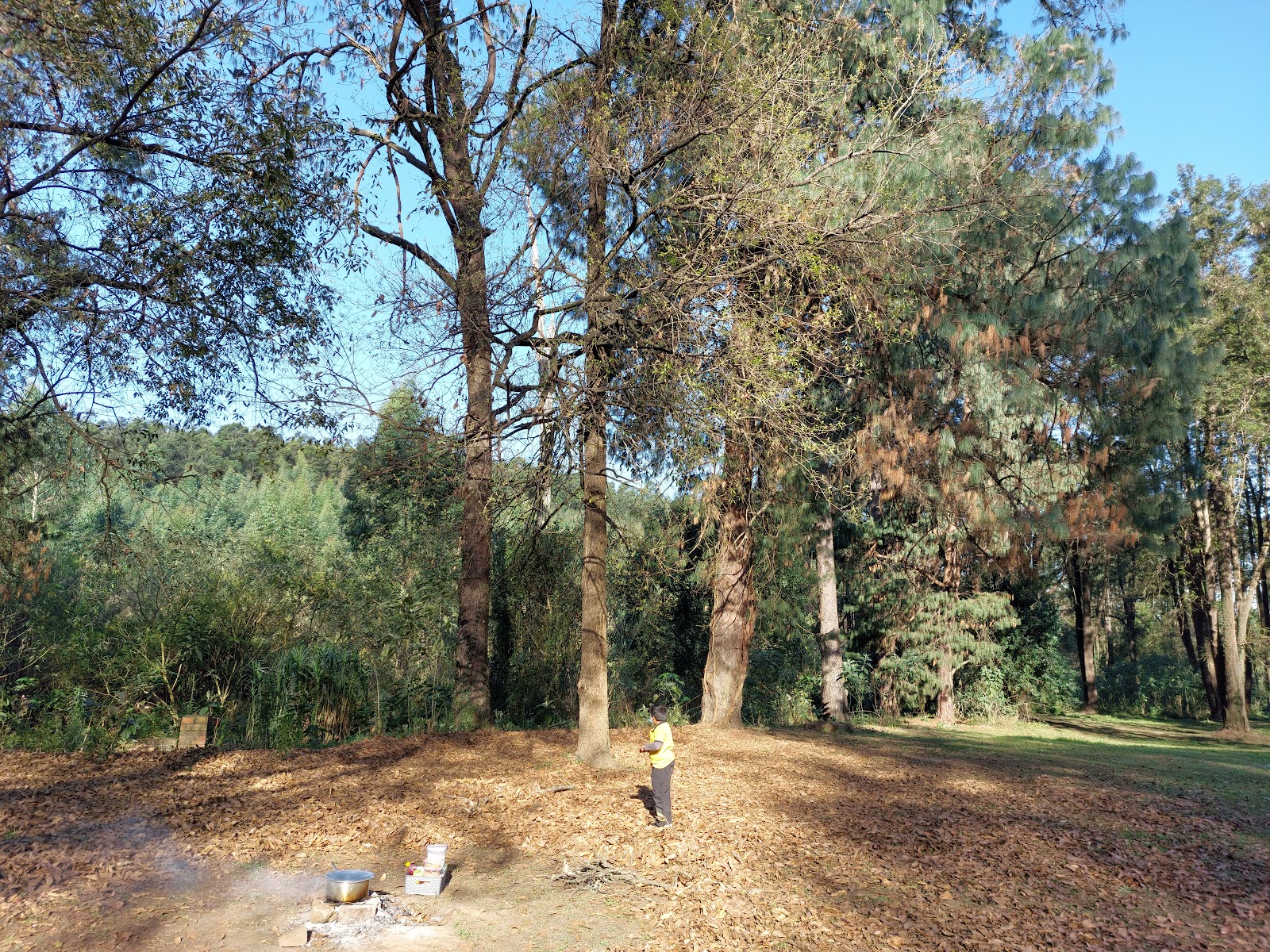 Hatcheries Park
