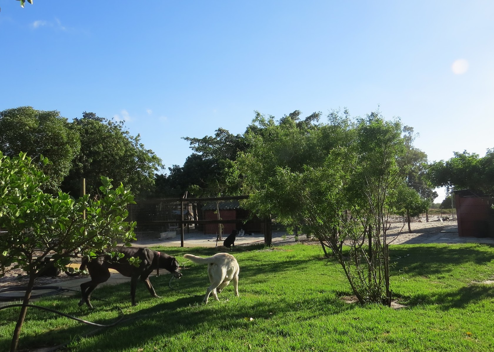 Pet Cottages
