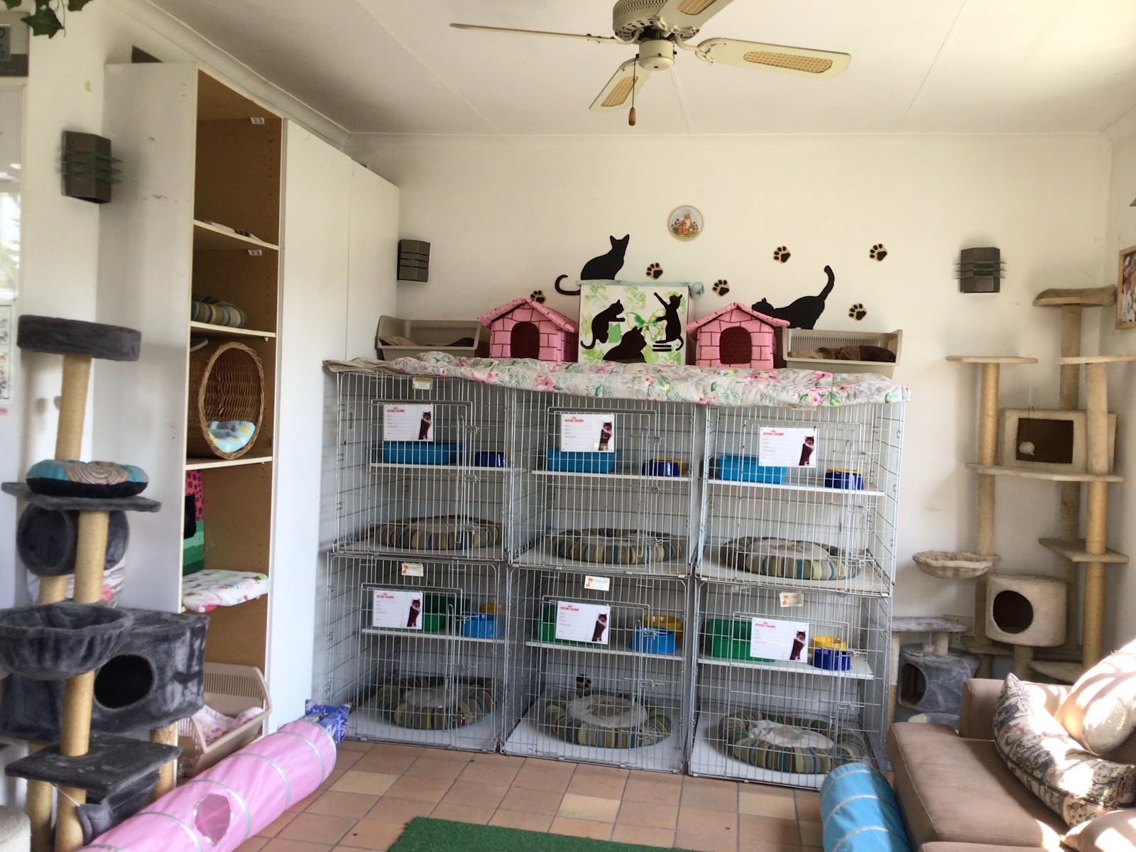 The Happy Cat Hotel