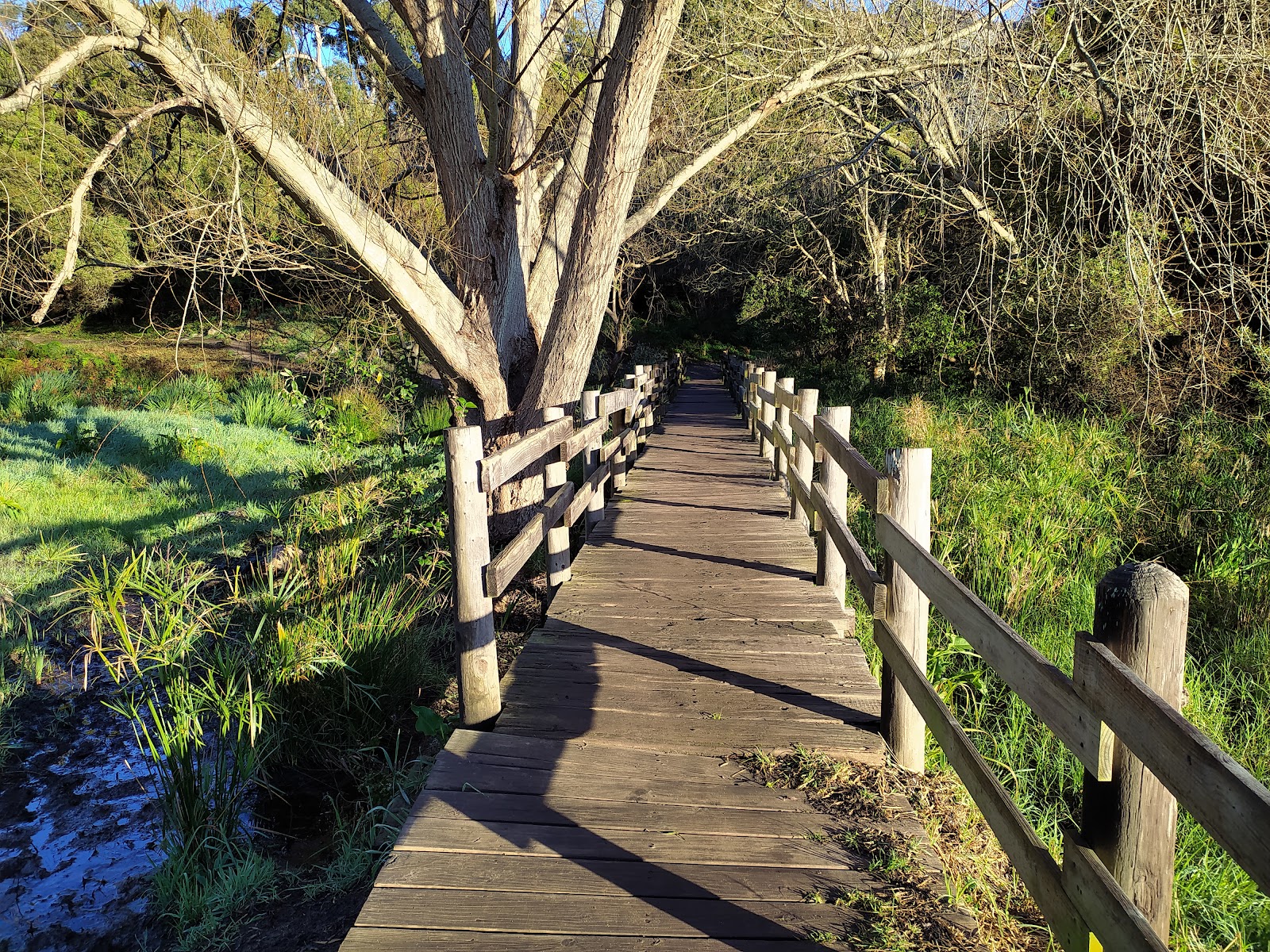 Diepriver Trail Greenbelt