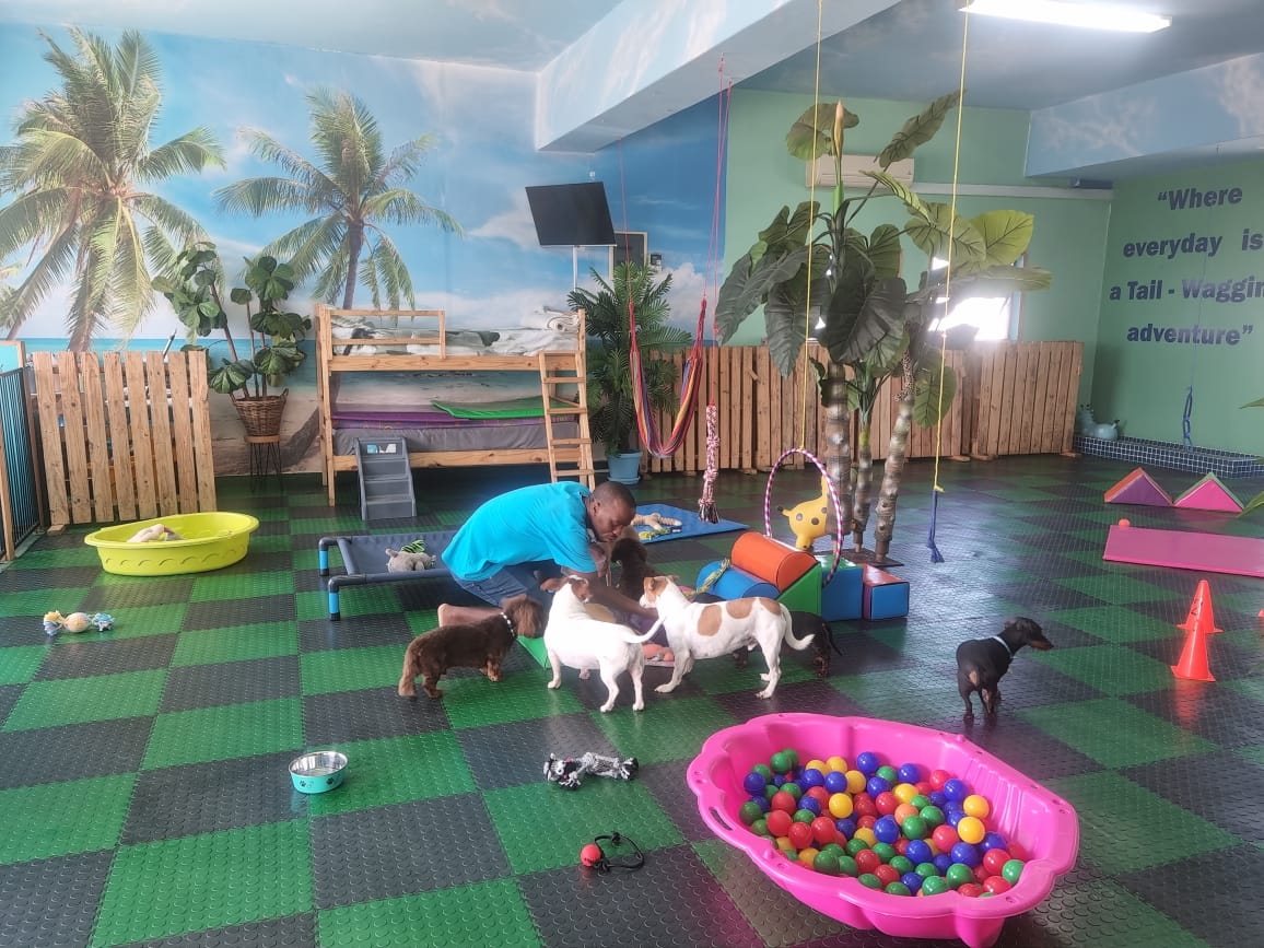 Dogtopia Doggie Daycare and Hotel Ballito