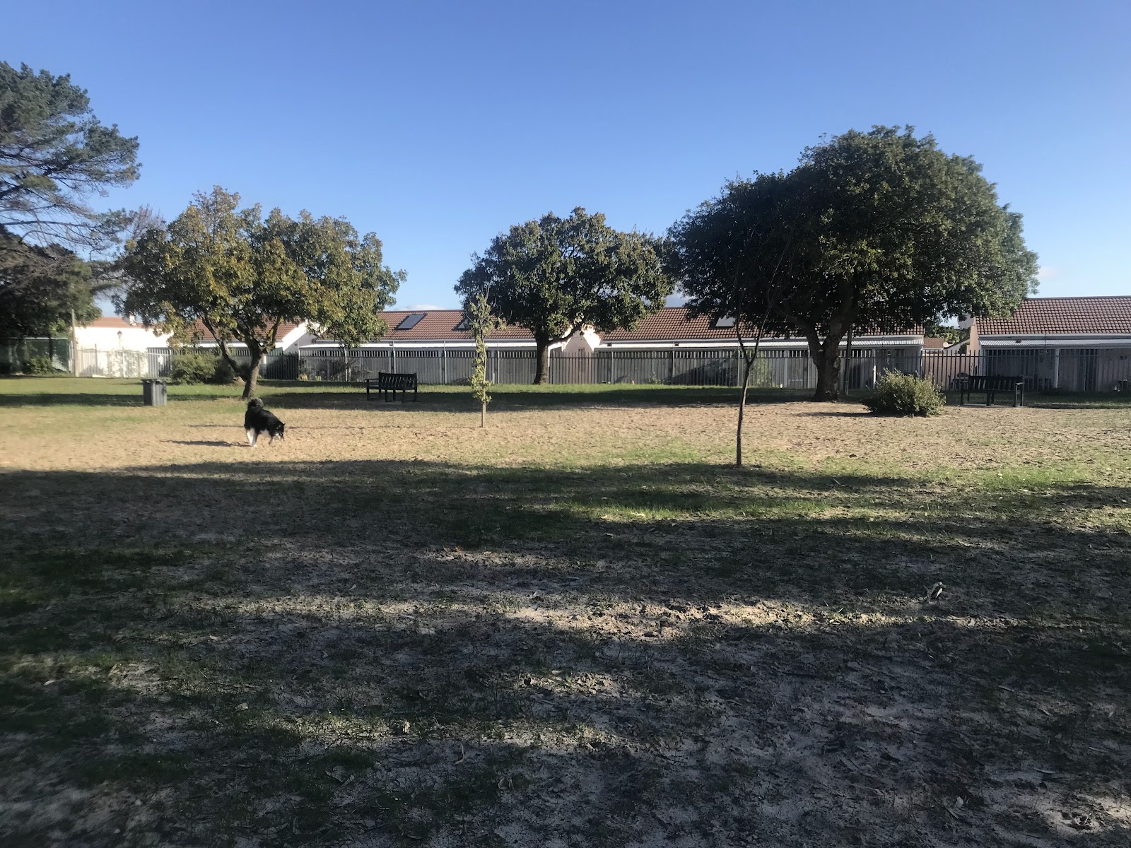 Sunnyside Dog Park
