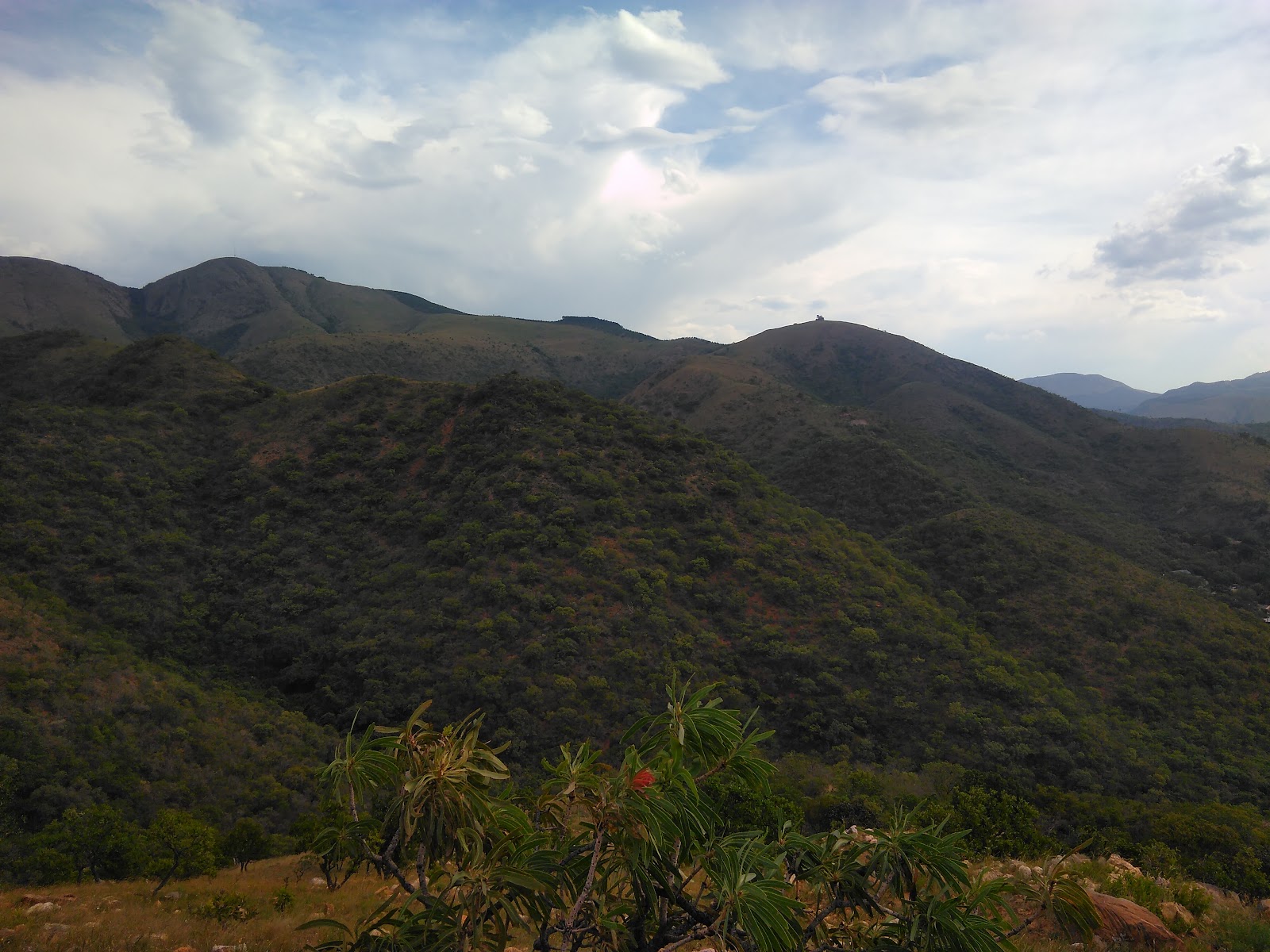 Barberton Nature Reserve